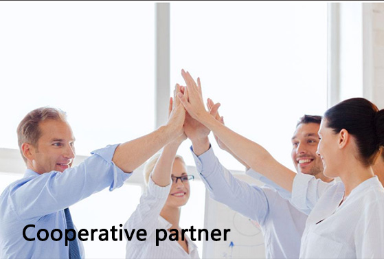 Cooperative Partner